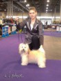 /album/fehova-winter-dog-show/dsc-0013-1-copy-jpg/
